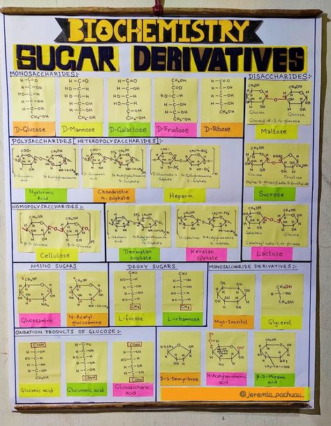 some basic Chemistry ⚗️ #fun_learning #childhood_subject 📝#how_to_prepare_chart 📌#sugar_molecules🔬📏 Chemistry Chart Ideas Class 12, Chemistry Chart Ideas, Chemistry Chart, Chemistry Class 12, Basic Chemistry, Chemical Kinetics, Chemistry Posters, Learn Biology, 11th Chemistry