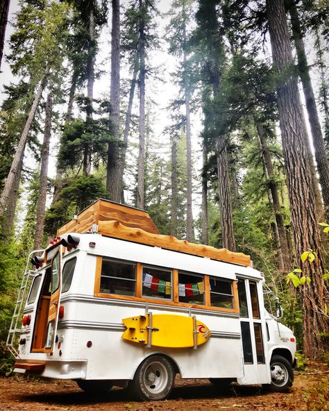 Safari Bus, School Bus Camper, School Bus Tiny House, Kombi Motorhome, Old School Bus, Bus Living, Short Bus, Kombi Home, School Bus Conversion