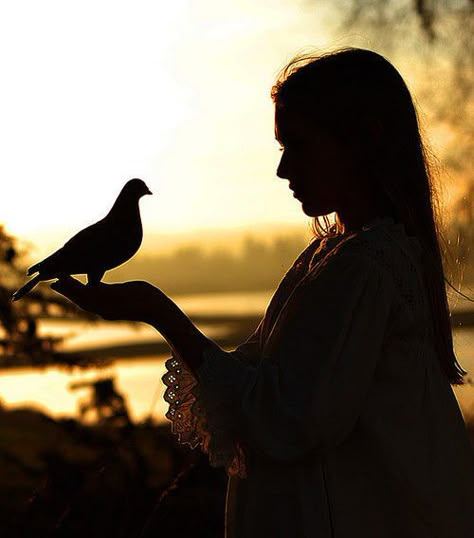 She often likened herself to the fragile nature of a tiny...  "Bird" by Tina Baker (~Tina Louise~ via Flickr) Shadow Silhouette, Slaap Lekker, Foto Art, Light And Shadow, Beautiful Pictures, Human Silhouette, Photography Inspiration, Fairy Tales, Art Photography