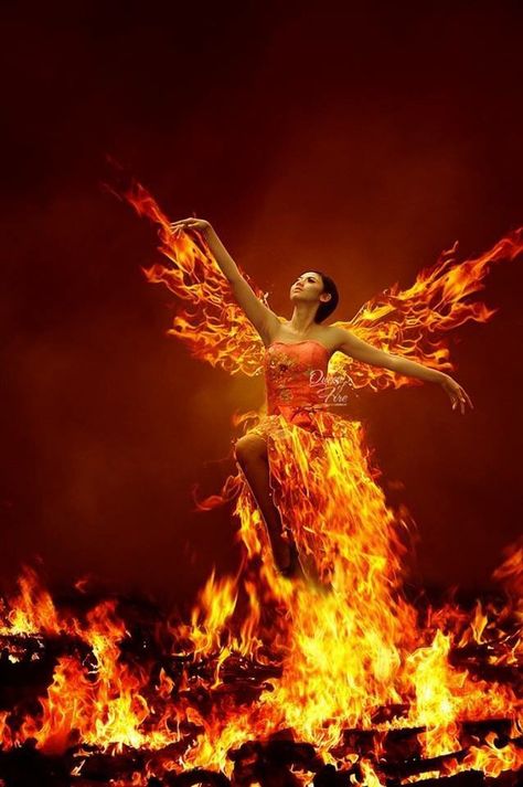 Phoenix rising Queen Of Fire, Fire Queen, Fire Goddess, Creation Photo, Flame Art, Phoenix Rising, Fire Art, Fantasy Photography, Montage Photo