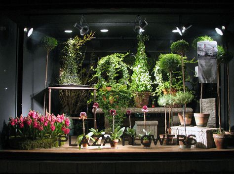 Plantings in Window Display Florist Shop Interior Window Displays, Plant Window Display, Florist Window Display, Florist Shop Interior, Artisan Store, Tea Boutique, Flower Shop Design, Selling Ideas, Interior Window