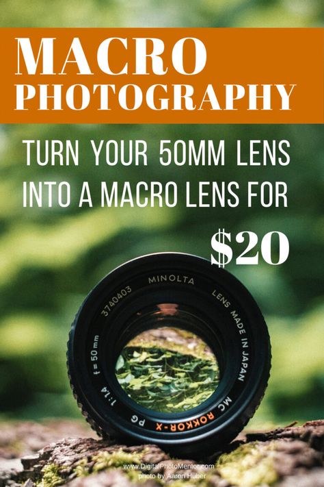 Macro Photography Setup, Macro Photography Settings, Macro Photography Equipment, Super Macro Photography, Extreme Macro Photography, Macro Photography Eyes, Macro Photography Water, Creative Macro Photography, Macro Photography Art