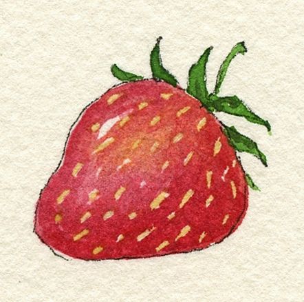 Strawberry Drawing, Strawberry Watercolor, Dibujo Simple, Strawberry Art, Drawing Software, Jello Salad, The Fifties, Cat Air, 로고 디자인