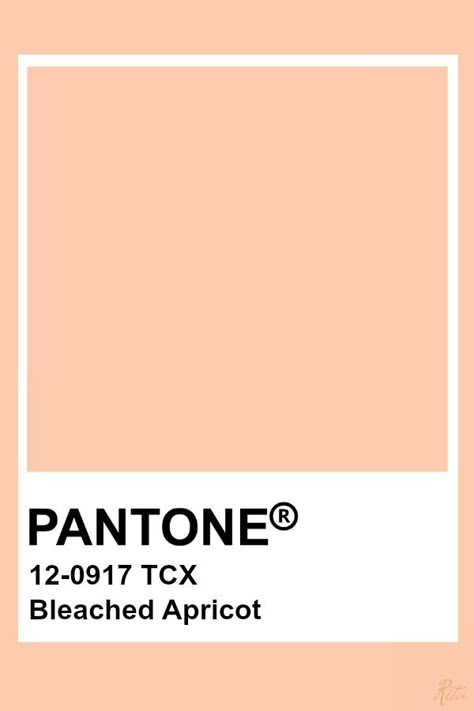 Pantone  Bleached Apricot Apricot Pantone, Pantone Color Swatches, Peach Paint, Pantone Swatches, Pantone Palette, Color Pantone, Pantone Colour Palettes, Apricot Color, Peach Aesthetic