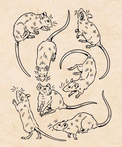 Rat Line Tattoo, Ink Drawing Animals, Rat Flash Tattoo, Rat In A Cage Tattoo, River Rat Tattoo, Rat Stick And Poke, How To Draw Rat, How To Draw A Rat, Two Headed Rat Tattoo