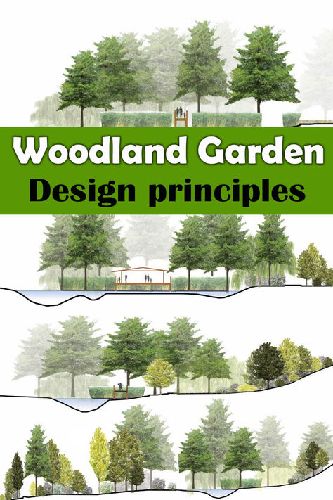 Large Back Garden Design, Woodland Front Yard Landscaping, Forest Edge Garden, Woodland Landscape Design, Wooded Lot Landscaping, Meadow Garden Design, Pnw Backyard Landscaping, Woodland Planting Scheme, Foundation Planting Plans