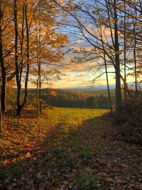 Backroads Aesthetic, Fall Nature Aesthetic, Country Side Aesthetic, Country Side Life, Wald Wallpaper, Fall Meadow, Autumn Countryside, Autumn Sky, Fall Landscape