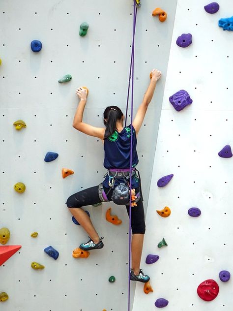 colourful jumpsuit - Climbing Wall Images � Pixabay � Download Free Pictures (11356422) Kids Rock Climbing, Rock Climbing Training, Rock Climbing Holds, Home Strength Training, Indoor Rock Climbing, Climbing Holds, Strength Training Program, Rock Climbing Wall, Sport Climbing