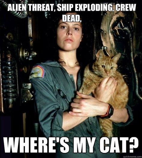 Alien threat, space ship exploding, crew is dead... WHERE'S MY CAT!!? Ripley / Alien #meme #humor #funny #geek #nerd Alien Sigourney Weaver, Sigourney Weaver Alien, Kino Box, Dian Fossey, Alien Movies, Ellen Ripley, Alien Movie, Alien 1979, Space Ghost