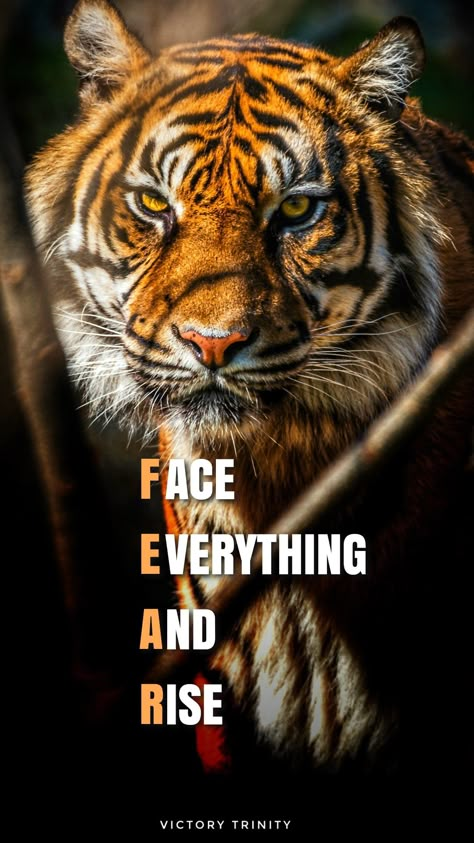 This pin contains motivational wallpaper. Use it to ignite your day Never Underestimate Quotes, Underestimate Quotes, Van Gogh Tshirt, Bull Quotes, Lion Motivation, Lord Radha, Tiger Quotes, Life Quotes Relationships, Face Everything And Rise