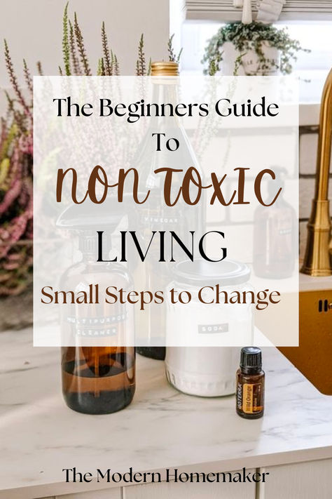 Embark on your journey to a toxin-free lifestyle with this comprehensive beginner's guide! Explore simple steps and essential tips to embrace non-toxic living. From eco-friendly cleaning hacks to natural personal care products, start your sustainable and healthier lifestyle today. Dive into our guide and transform your daily routine into a refreshing, toxin-free experience. #NonToxicLiving #HealthyChoices #EcoFriendlyLiving #SustainableLiving #ToxinFreeHome How To Live A Clean Lifestyle, Healthy Non Toxic Meals, Living Clean Lifestyle, Non Toxic Living Tips, Non Toxic Lifestyle, Nontoxic Home, Clean Cleaning Products, Toxins In Your Home, Less Waste Living