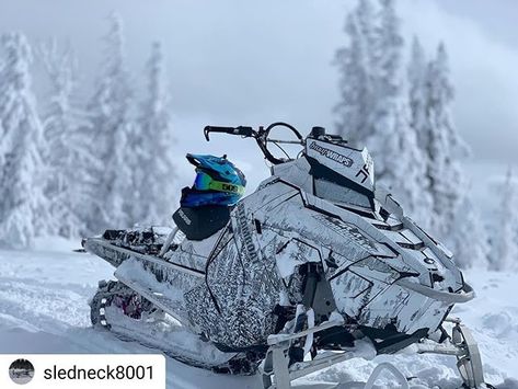 Braap Wraps - Custom Sled Wrap Designs for Arctic Cat, Polaris, Ski-doo Snowmobile Storage, Snowmobile Cake, Sled Wraps, Snowmobile Drawing, Snowmobile Wraps, Snowmobile Wraps Polaris, Snowmobiling Humor, Snowmobiles Quotes, Sled Wraps Snowmobiles