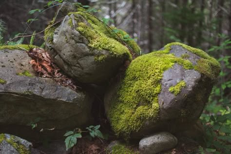 Mossy Rocks, Voice Of Nature, Environment Reference, Landscape Reference, Rock Photography, Green Planet, Beauty Magic, Landscape Photography Nature, Rock Formations