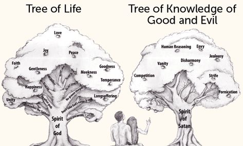 Relationship With God | Philadelphia Church of God Tree Of Good And Evil, Eden Meaning, Life Meaning Quotes, 19 Tattoo, God Knows Best, Library Dark, Tree Of Life Meaning, The Tree Of Knowledge, Graven Images