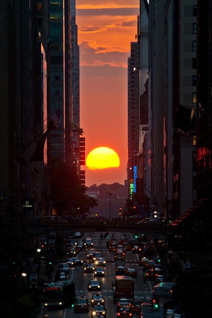 Concrete Jungle, City Aesthetic, Sky Aesthetic, Beautiful Sunset, City Lights, Journal Ideas, Sunrise Sunset, Travel Journal, Beautiful World