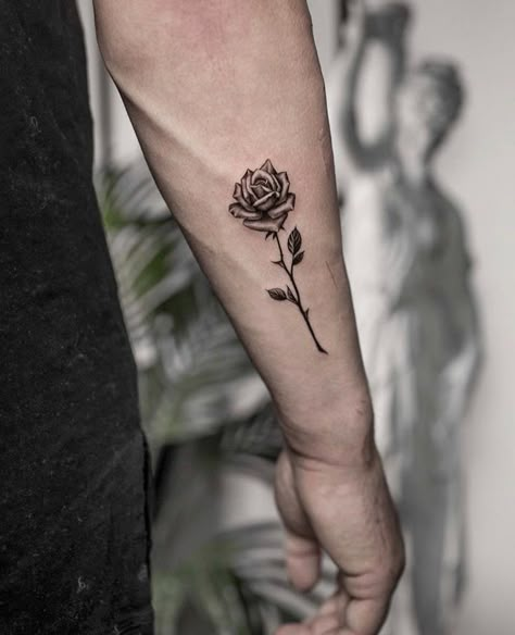 Rose Tattoo On Arm Men, Rear Forearm Tattoo Men, Rose Tattoo For Guys, Tattoo Roses Men, Roses Tattoo Men, Small Rose Tattoo Men, Rose Forearm Tattoo Men, Men’s Rose Tattoo, Rose Tattoo Men Forearm