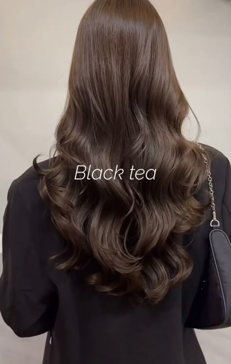 Chocolate Black Tea Hair Color, Black Tea Hair Color, Chocolate Black Tea Hair, Asian Dark Brown Hair, Dark Brown Asian Hair, Chocolate Brown Hair Asian, Dark Milk Tea Hair Color, Brown Hair Asian, Asian Brown Hair