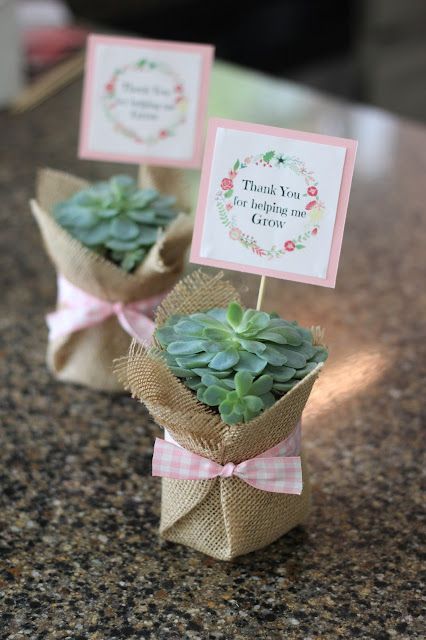 DIY Succulent Gift Diy Plant Party Favors, Mother’s Day Succulent Craft, Succulent Presents Gift Ideas, Succulent Gift Ideas Christmas, Plant Mothers Day Gifts, How To Wrap A Succulent As A Gift, Plant Thank You Gifts, Succulents Graduation Party, Gifting Plants Ideas