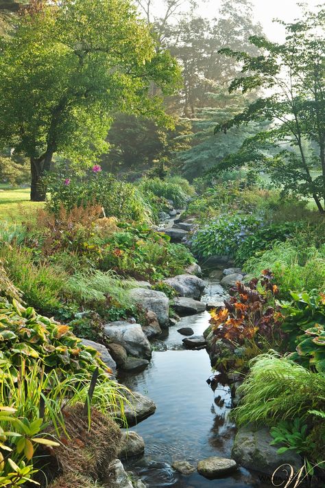 A man-made brook garden features a spring garden that includes irises, hostas, and a Japanese maple. This This project was the winner of the prestigious 2008 Palladio Award for Landscape Design. Backyard Streams, Backyard Stream, Garden Stream, Japanese Rock Garden, Kolam Koi, Fairytale Garden, Garden Ponds, Modern Landscape Design, Water Gardens