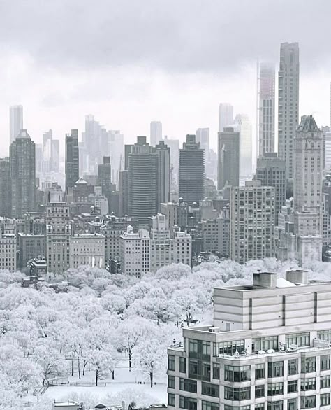 Snowy Nyc, Snowy City, Nyc Snow, Destination Holiday, Snow City, New York Snow, La Winter, Sunrise City, Winter In New York