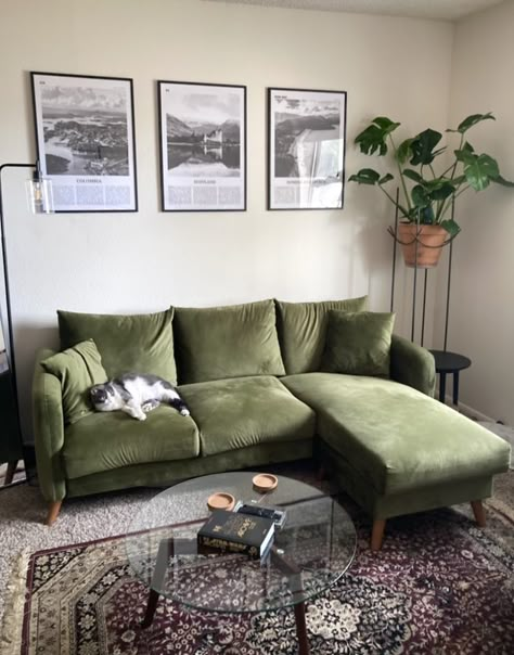 Simple Living Room Green Couch, Green Futon Living Room, Midcentury Modern Green Couch, Green Couch Apartment Living Room, Green Couch Dark Floor, Dark Green Corduroy Couch, Hunter Green Apartment Decor, Apartment With Green Couch, Living Room Green Velvet Sofa