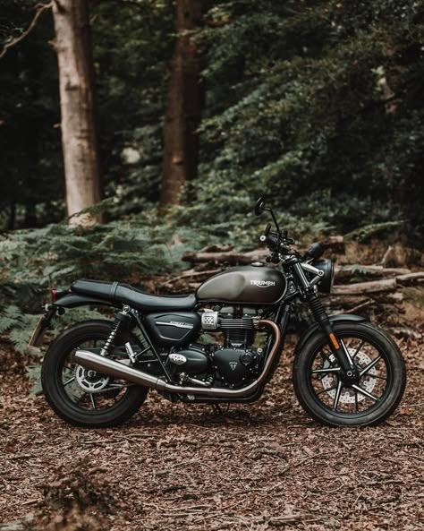 Felix Pictures, Triumph Street Scrambler, Triumph Street Twin, Motorbike Art, Street Scrambler, Triumph Bikes, Triumph Scrambler, Cafe Bike, Brat Style