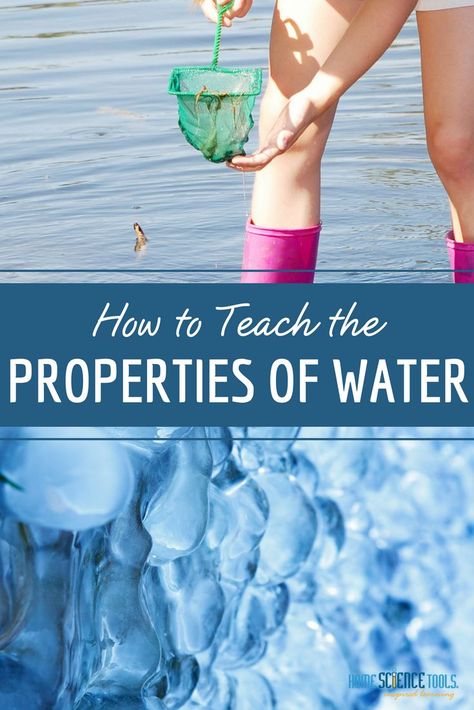 One of the things that makes our planet special is the presence of liquid water. Use these tips from Home Science Tools to teach the properties of water in your #homeschool or #classroom. #sciencelesson #scienceproject #homeschoolingtip Properties Of Water Activities, Three States Of Matter, Properties Of Water, Water Experiments, All About Water, Study Activities, Home Science, Homeschool Lesson Plans, Structured Water