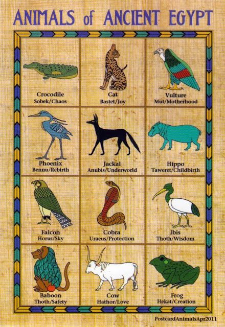 Brane & Nina: Animals of Ancient Egypt Egyptian Mythology Art, Egypt Animals, Egypt Gods, Starověký Egypt, Egypt Project, Ancient Egypt Gods, Egyptian Deity, Ancient Egypt History, Ancient Egyptian Gods