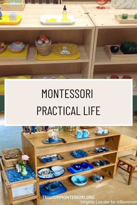 Montessori ‘Practical Life’ activities focus on the care of the child’s own person (personal dressing and grooming), care of the environment (cleaning, caring for plants and pets, preparing food), development of fine and gross motor skills, and learning courteous behavior and conflict resolution. The Benefits of Practical Life Independence, Confidence, and Self-Care The activities of […] Practical Life Kindergarten, Montessori Life Skills Activities, Ocean Practical Life Montessori, Practical Life Water Activities, Montessori Practical Life Toddlers, Montessori Primary Activities, Montessori Activities For Preschoolers, Practical Life Activities Preschool, Montessori Practical Life 3-6 Activities