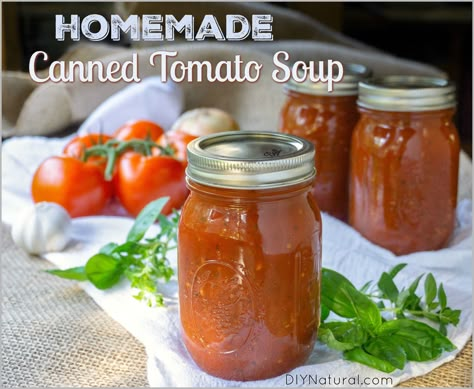 Canning Tomato Soup, Homemade Tomato Soup Recipe, Fresh Tomato Soup, Soup Homemade, Condensed Tomato Soup, Homemade Comfort Food, Tomato Soup Homemade, Canned Tomato Soup, Tomato Soup Recipe