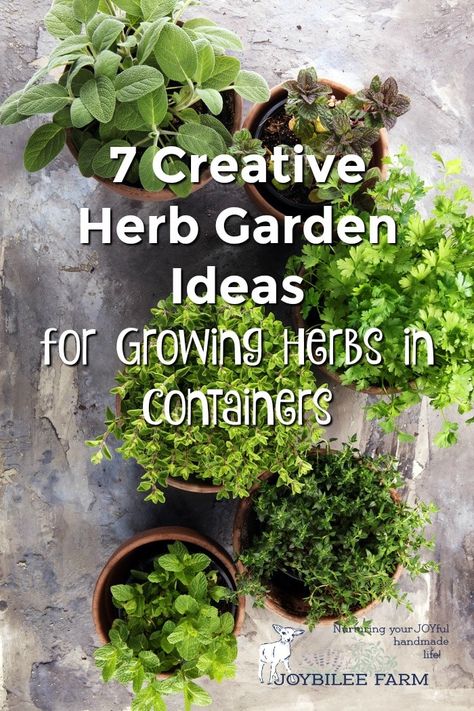 These creative herb garden ideas will help you find the space for growing culinary and medicinal herbs no matter how much garden you have.  Growing herbs is not only easy but also fun, because they are versatile and can be planted pretty much anywhere and in anything. As long as they have plenty of sunlight, good soil, good drainage and consistent water, they will flourish.  #CreativeHerbGardenIdeas, #herbsincontainers, #herbgardening Herbs In Containers, Herb Garden Ideas, Herb Garden Pallet, Herb Garden Pots, Container Herb Garden, Diy Herb Garden, Herb Containers, Types Of Herbs, Herb Garden Design