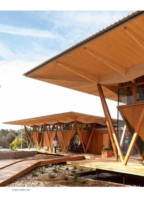 Macquarie University, Timber Architecture, Bamboo Architecture, Tropical Architecture, Wood Architecture, Wood Building, Roof Architecture, Wooden Structure, Timber Structure