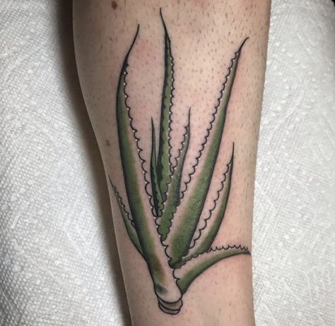 Aloe tattoo Aloe Vera Plant Tattoo, Aloe Plant Tattoo, Aloe Tattoo, Aloe Vera Tattoo, Aloa Vera, Succulent Tattoo, Left Arm Tattoos, Ink Therapy, Not Aesthetic