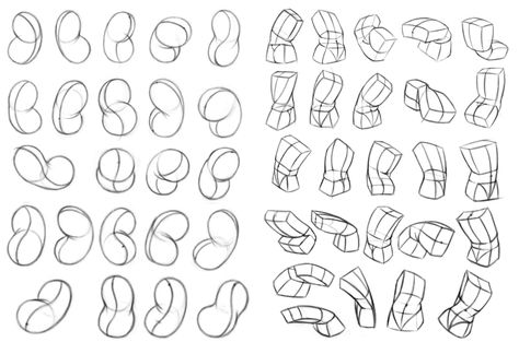 Head And Torso Reference, Torso Study Drawing, Robo Bean Anatomy, Bean Torso, Anatomy Exercise, Asaro Head, Torso Study, Figure Drawing Tutorial, Human Body Drawing