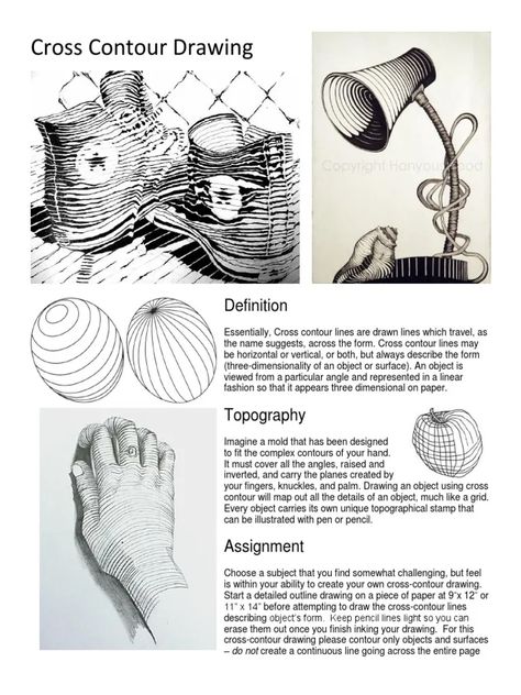 understanding cross contouring Cross Contour Line Drawing Still Life, Extra Credit Art Assignments, Contour Line Drawing Project, Contour Lines Art, Contour Lines Drawing, High School Drawing Lessons, Contour Line Drawing Lesson, Contour Drawing Ideas, Contour Hatching