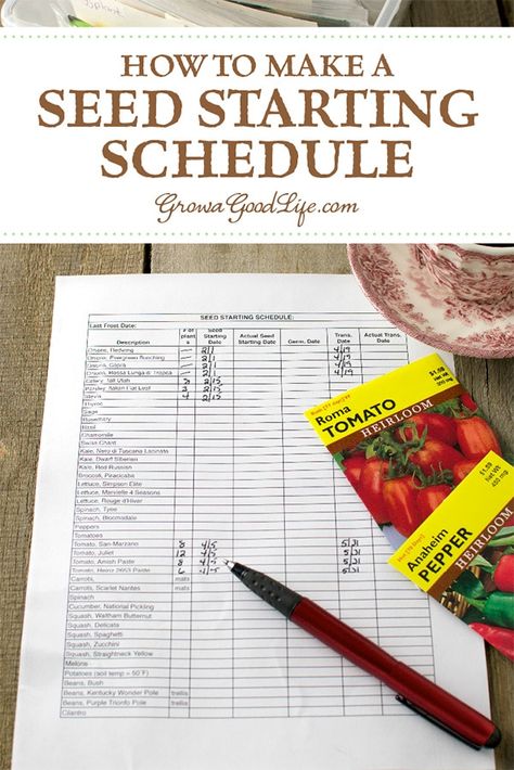 Seed Starting Schedule, When To Transplant Seedlings, Starting Seeds, Vegetable Garden Planning, Garden Planner, Garden Types, Seed Saving, Veg Garden, Garden Journal