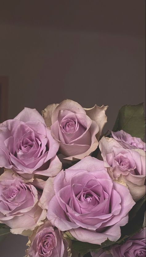 Violet Roses, Pinterest Widget, Lover Girl, Violet Rose, Aesthetic Roses, Rose Violette, Snapchat, Violet, Roses