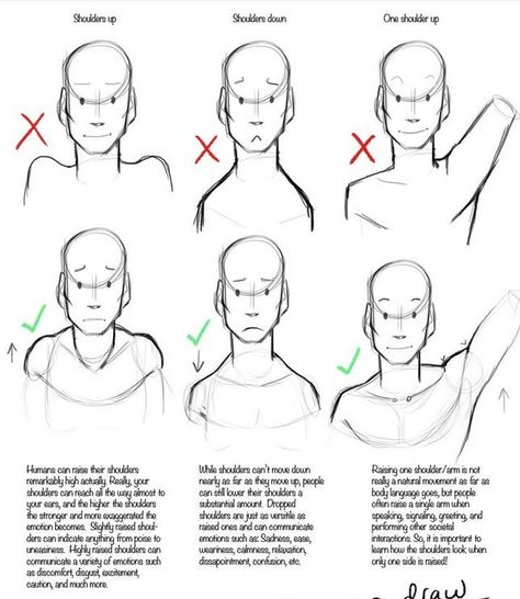 shoulders 얼굴 드로잉, Art Advice, Art Students, Basic Drawing, 캐릭터 드로잉, Anatomy Drawing, Poses References, Figure Drawing Reference, Ibis Paint