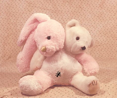 honeylambs: “custom bunny/bear conjoined twins ♡ ” Creepy Stuffed Animals, Creepy Toys, Custom Bunny, Conjoined Twins, Bunny And Bear, Creepy Dolls, Cute Stuffed Animals, Arte Fantasy, Doll Parts