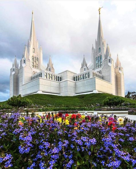 San Diego, California LDS temple | Photo: Josh Packer Sand Diego, San Diego Temple, Peaceful Summer, Lds Temple Art, Lds Temple Pictures, Later Day Saints, Mormon Temples, Temple Photography, Temple Pictures