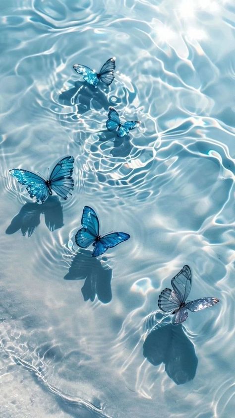 Blue Butterfly Aesthetic Wallpaper Iphone, Aesthetic Butterfly Pictures, Blue Aesthetic Wallpaper Butterfly, Blue Butterflies Aesthetic, Blue Butterfly Wallpaper Aesthetic, Butterfly Hd Wallpapers, Blue Butterflies Wallpaper, Blue Hd Wallpaper, Blue Butterfly Aesthetic