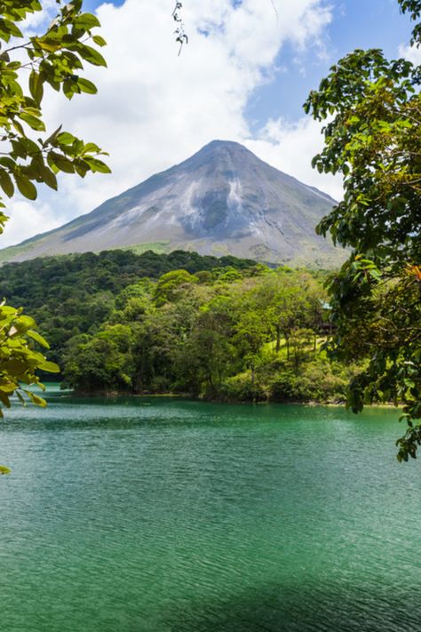 Journey on a Costa Rican adventure like no other! 🌴  From the vibrant city of San José to the majestic Arenal Volcano and the all-inclusive luxury of Guanacaste, immerse yourself in the beauty of this paradise. Relax in hot springs, explore lush rainforests, and witness incredible wildlife! 🐒  #CostaRica #SanJose #Guanacaste #Wildlife #Travel #Adventure Costa Rica Luxury, Arenal Volcano, Wildlife Travel, Costa Rican, Travel Packages, Travel Adventure, Central America, Hot Springs, Volcano