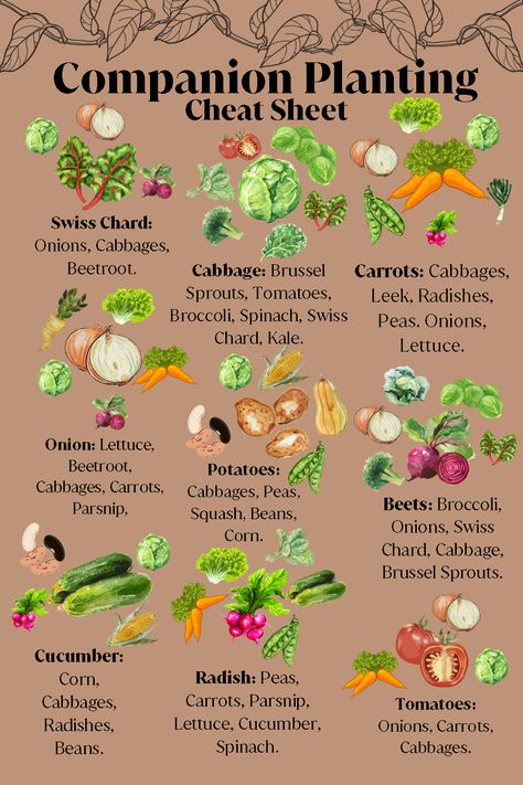 Garden Companion Planting, Vegetable Garden Planning, Vegetable Garden Diy, Veg Garden, Home Vegetable Garden, Container Gardening Vegetables, Have Inspiration, Vegetable Garden Design, Food Garden