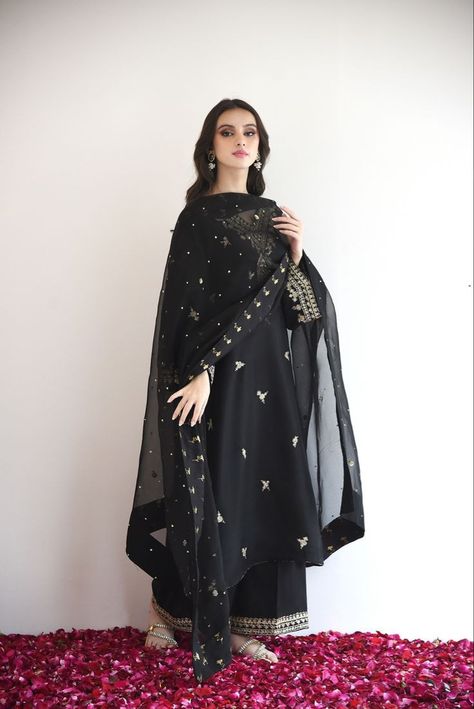 Black Dress Simple Design, Black Dress Pakistani Style Simple, Black Kameez Design, Qawali Night Outfits Black, Agha Noor Dresses 2023, Black Pakistani Outfit, Jewellery With Black Dress, Black Traditional Outfit, Black And Gold Suits