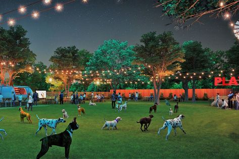 Dog Park Design, Dog Sanctuary, Indoor Dog Park, Pet Cafe, Dog Kennel Designs, Doggy Daycare, Ice House, Paw Paws, Dog Hotel