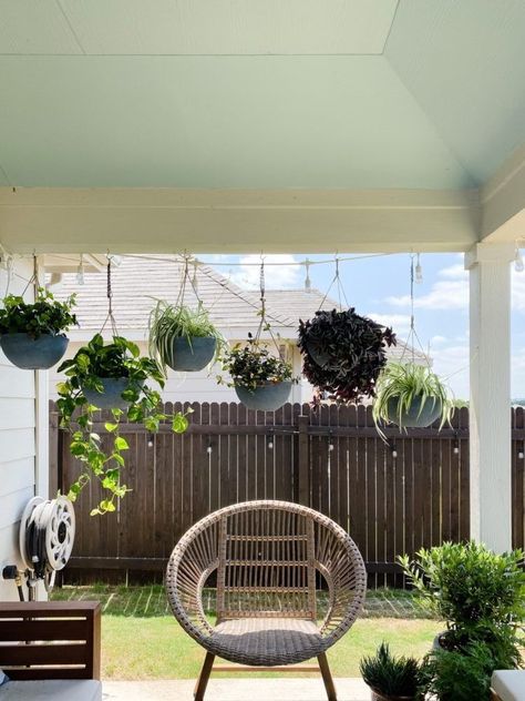 Porch With Hanging Plants, Porch Decorating With Plants, Good Porch Plants, Outdoor Hanging Plant Wall, Patio Plant Set Up, Hanging Plants For Porch, Front Patio Plants, Hanging Ferns On Porch Patio, Hanging Potted Plants Outdoors