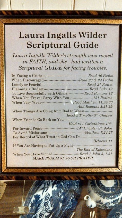 Pioneer Party, Ingalls Family, Books Series, Belief In God, Laura Ingalls Wilder, Laura Ingalls, Bible Facts, Prayer Scriptures, Scripture Study