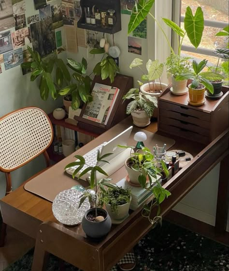 Coconut Room, Plant Desk, O J Simpson, Desk Plants, Aesthetic Rooms, Pretty Room, Room With Plants, Dream Room Inspiration, Decoration Inspiration