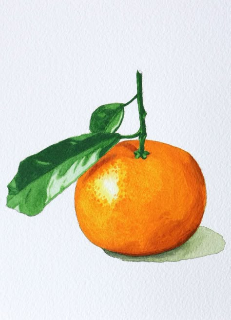 Watercolor Oranges Tutorial, Drawing Of Orange Fruit, Fruits Drawing Watercolor, Orange Fruit Watercolor, Oranges Watercolor Paintings, Orange Reference Photo Fruit, How To Make Orange Paint, Painting Of An Orange, Painting Oranges Fruit