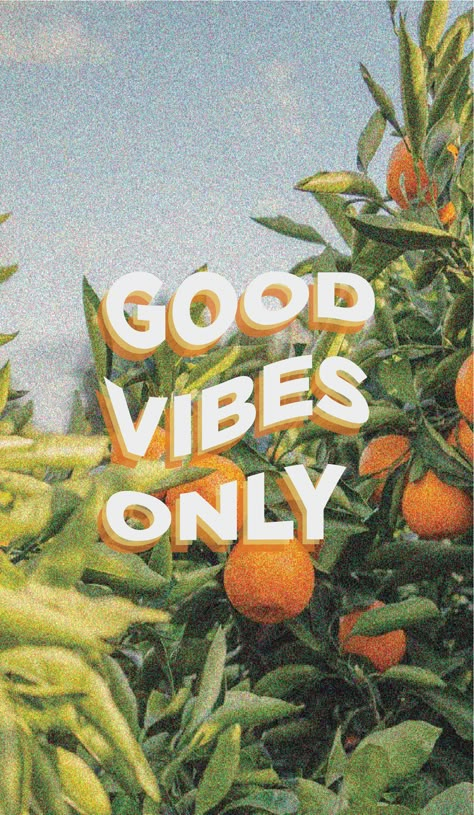 Aesthetic Wallpaper Positive Vibes, Good Vibe Wallpaper Iphone, Hippy Vibes Wallpaper, Positive Vibes Only Wallpaper, Happy Iphone Wallpaper Aesthetic, Carefree Wallpaper, Good Vibes Background, No Thoughts Just Vibes, Happy Pictures Good Vibes